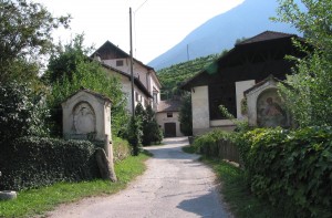 131-3120_IMG